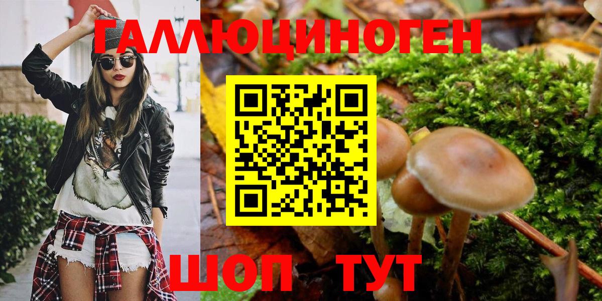Галлюциногенные грибы Psilocybe Сланцы