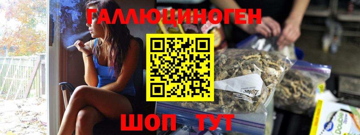 Гашиш Сланцы